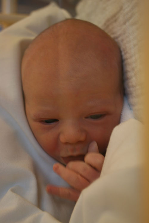 Unser Sohn Aeneas ist geboren! aeneas 04 Unser Sohn Aeneas ist geboren!