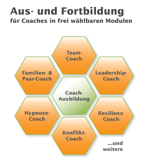 Coach Ausbildung �berblick