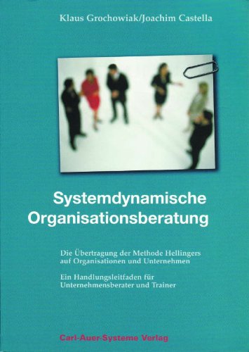 Systemdynamische Organisationsberatung