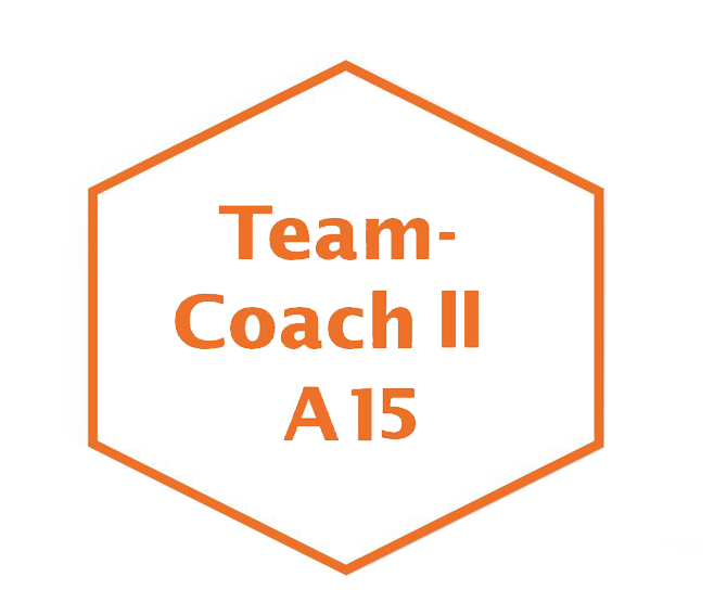 Teamcoach Modul II