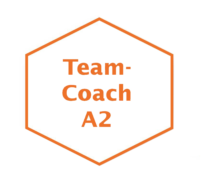 Teamcoach Modul I