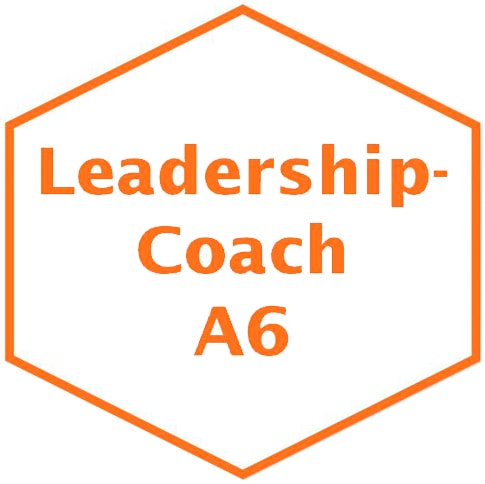 Leadership-Coach A14