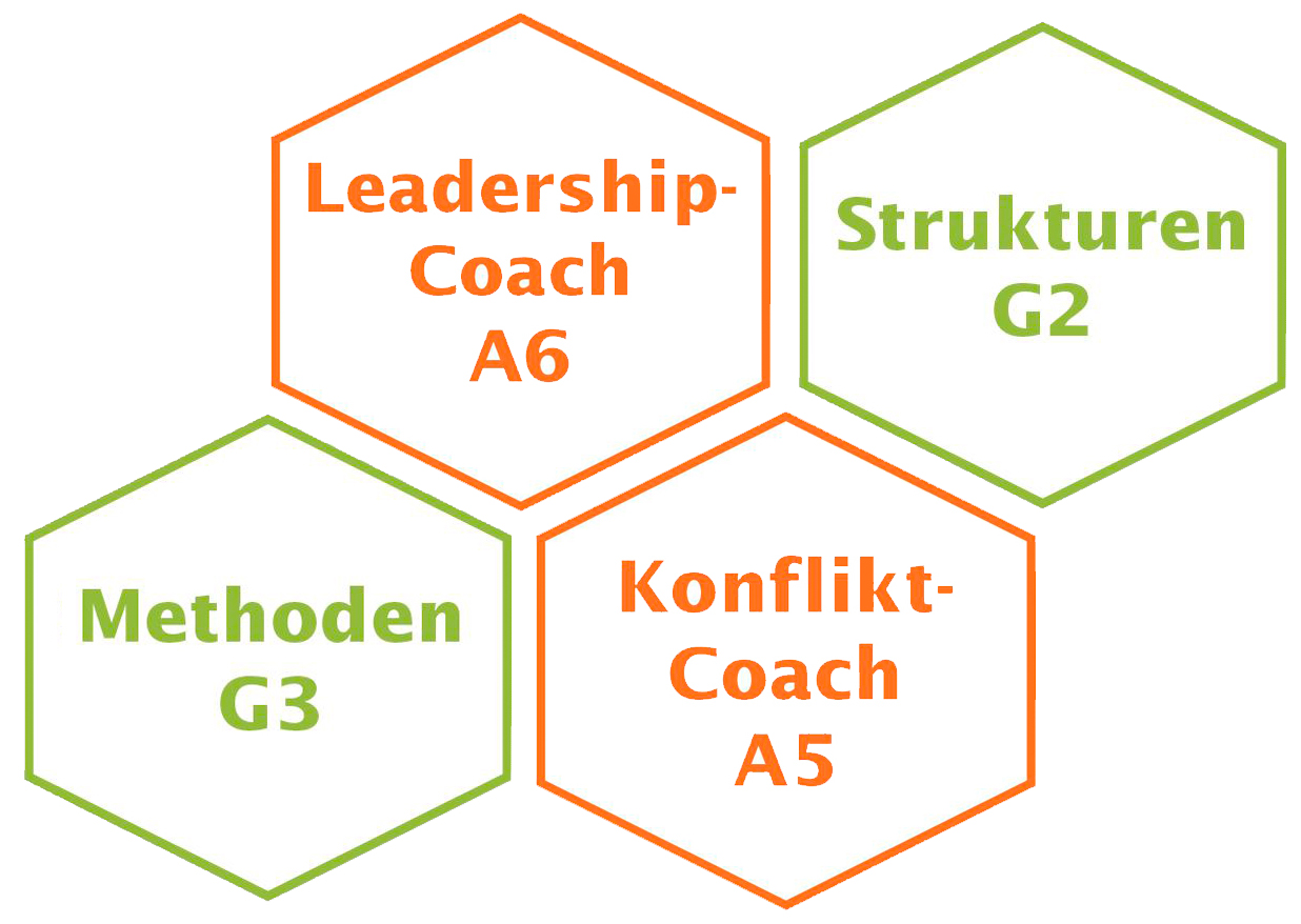 Business Coach Ausbildung