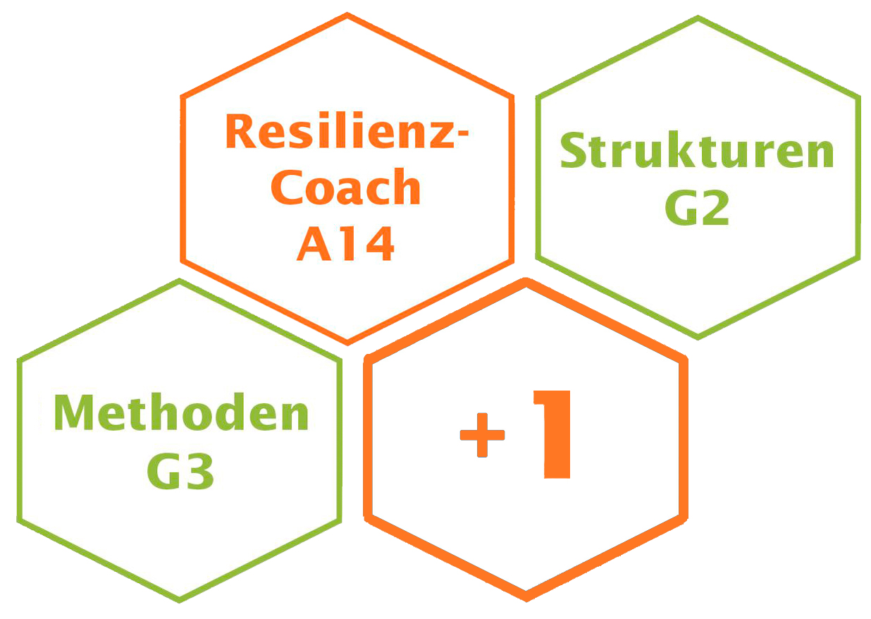 Resilienz-Coaching-Ausbildung