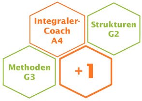 Ausbildung zum Systemischen Coach