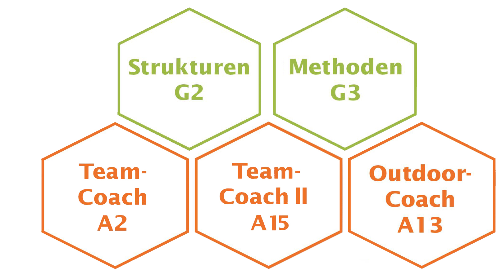 Teamcoach Ausbildung