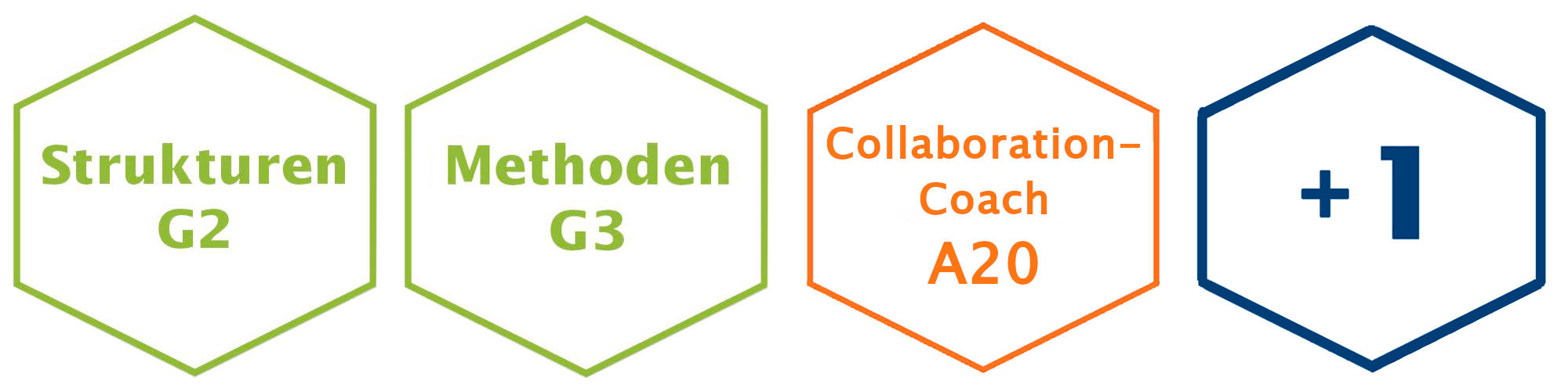Collaboration-Coach Ausbildung Module