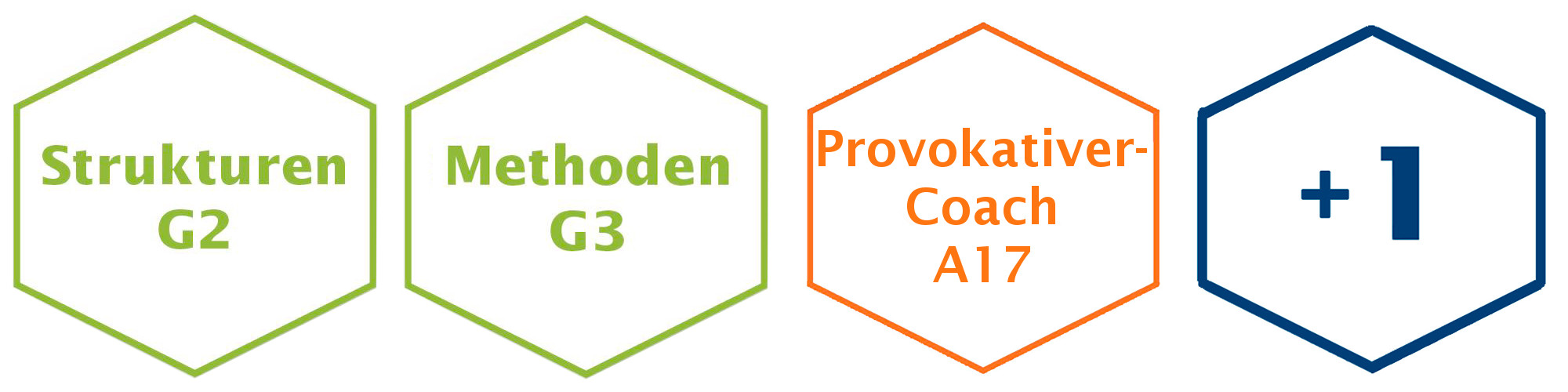 Provokativer Coach Ausbildung LNLPT Module