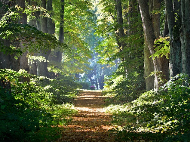 Naturcoaching