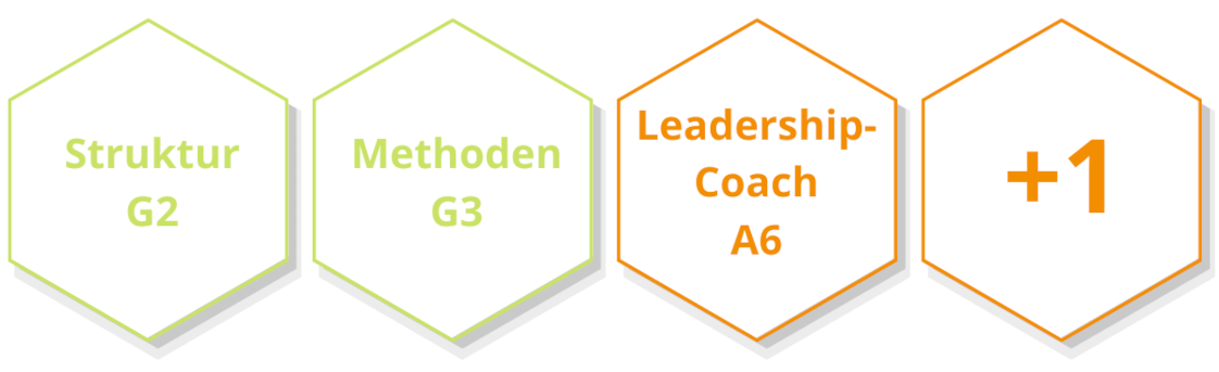 Leadership Coach Ausbildung Leadership Coach Ausbildung