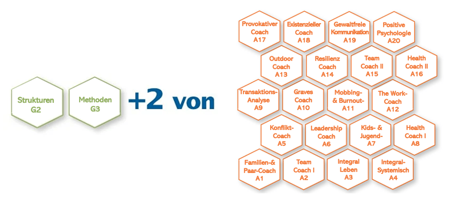 Coaching-Ausbildung, LNLPT Coaching-Ausbildung, LNLPT