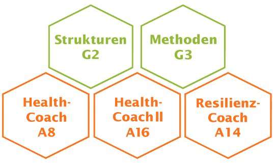 Health Coach Module