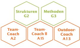 Teamcoaching Ausbildung Module