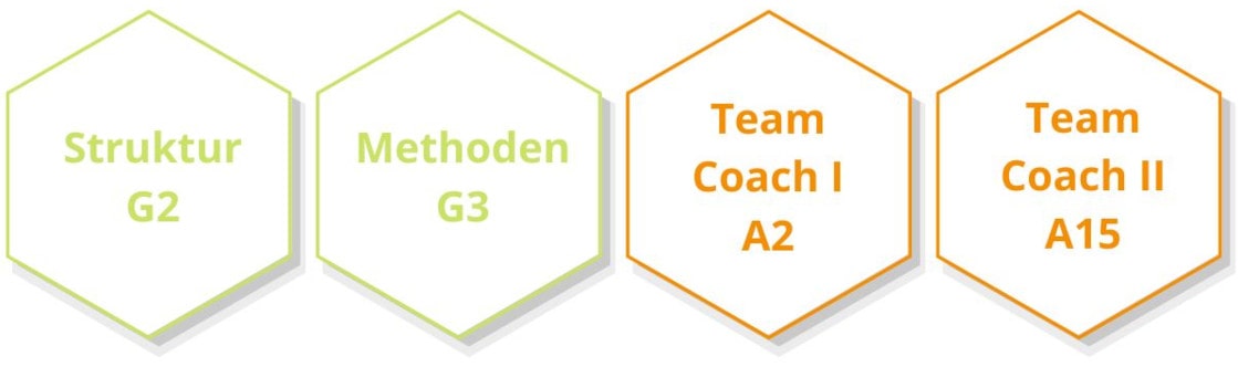 Team Coaching Ausbildung Team Coaching Ausbildung