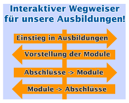 Interaktiver Wegweiser Coaching Ausbildungen