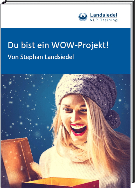 E-Book Du bist ein Wow-Projekt