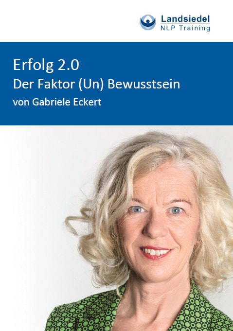 E-Book Erfolg 2.0