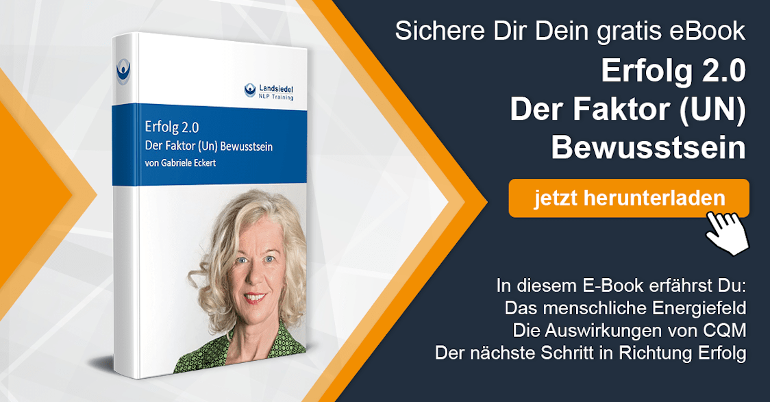 E-Book Erfolg 2.0 E-Book Erfolg 2.0