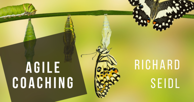 Agile Coaching