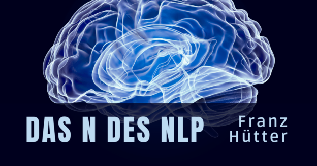 Das N des NLP