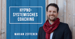 Hypnosystemisches Coaching: Fallbeispiele, Techniken, Inspirationen