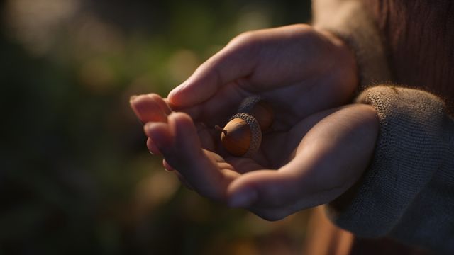 Mindful Mittwoch - Die Natur als Kraftquelle