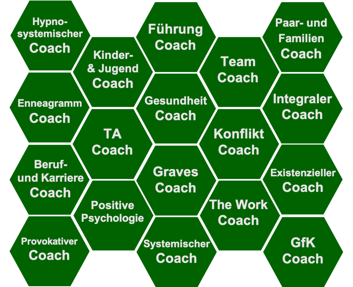 Anwendungsmodule Online Coaching-Ausbildung