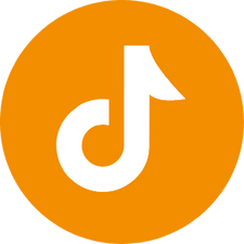 Tiktok Icon