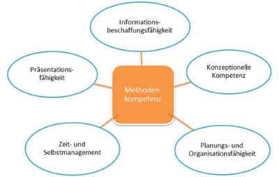 Strukturen Coach Modul