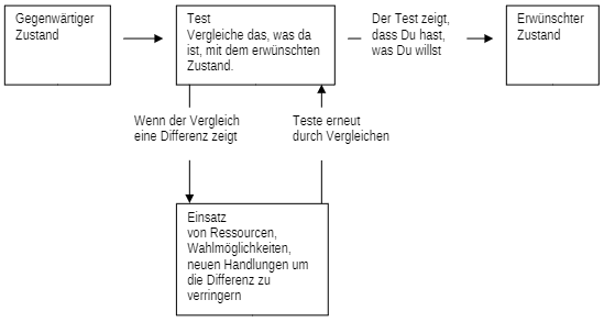 Sinnbildliche Erklärung des TOTE-Modells