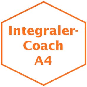 Integraler Coach Seminar Graves Value Seminar