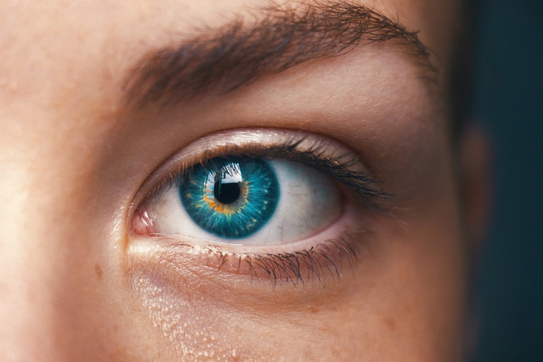 Eye Eye