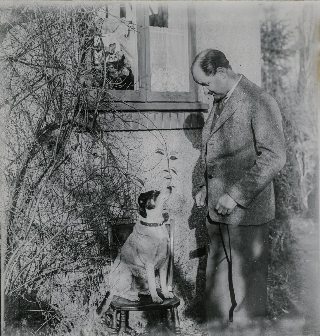 Dog with Man Dog with Man