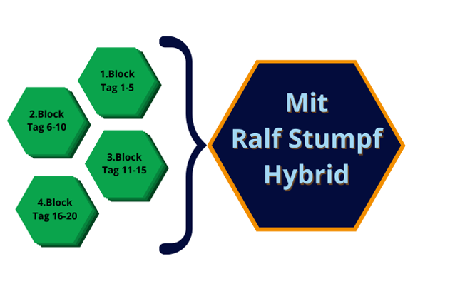 Mehr zum Coach, DVNLP, Online bei Ralf Stumpf