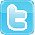 Twitter Icon