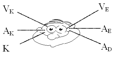 Eye Movement Patterns Eye Movement Patterns
