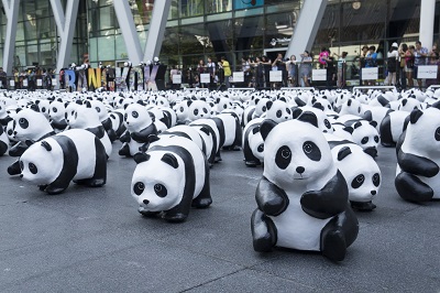 1600 Pandabären