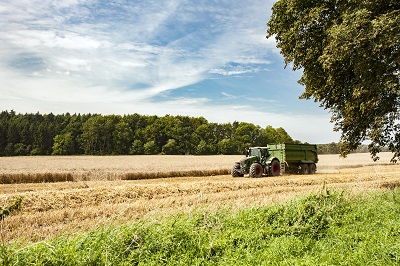 Landwirtschaft