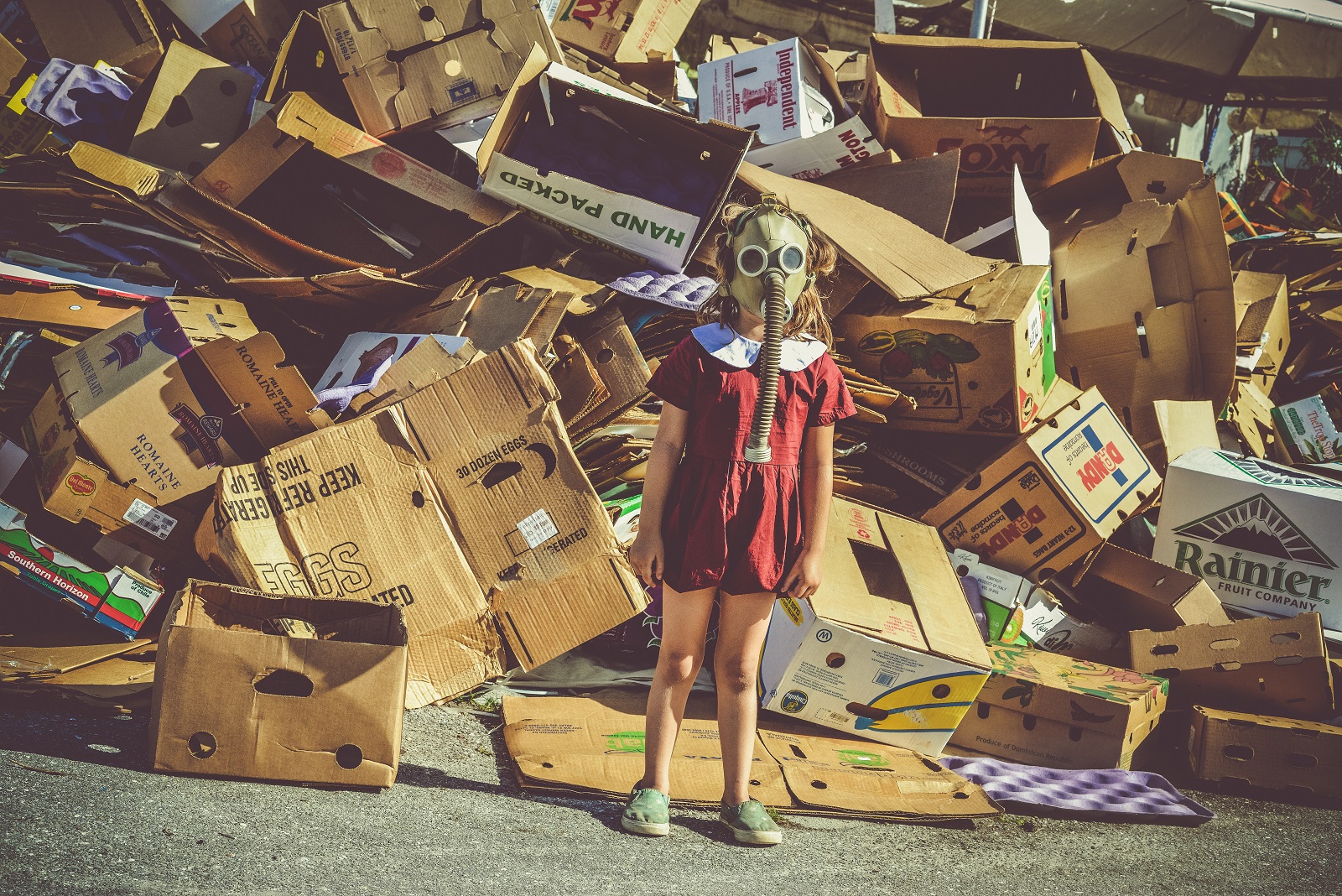 iStock-947622992-Lisa5201
