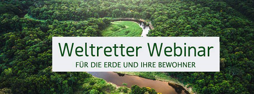 Weltretter-Online-Seminar